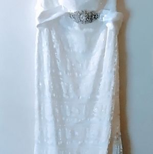 Wedding Dress and Vail